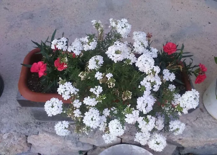 Apartmants Jusic أوباتيا